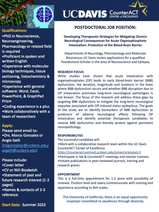 Postdoc advirtisement